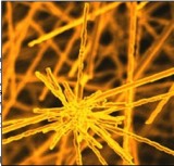 Nanomateriais